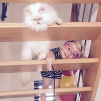 23319483_1750050751964704_299917423882121139_n