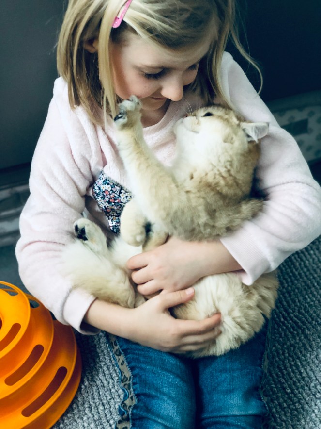 4E24A56C-280C-480D-9039-6B7897AF375F