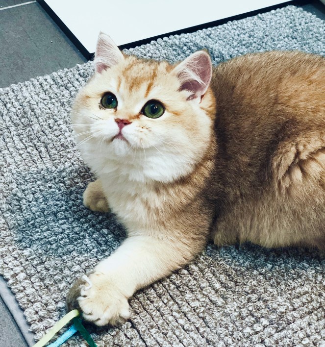 DAF61F49-186D-4B35-B4D2-B8F57F2FAE7B