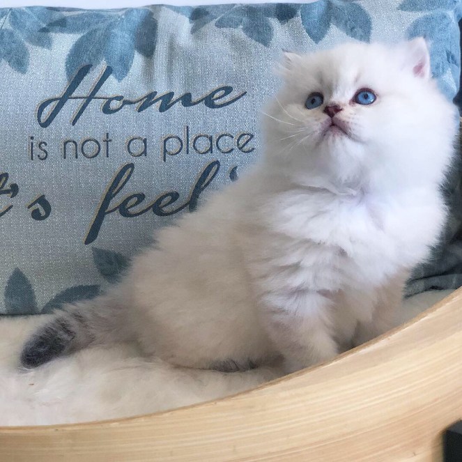 0C3393F7-D32D-4986-8FF3-6E90D5A727BB