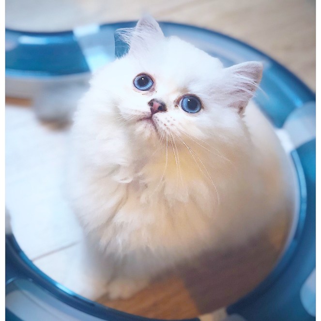 19A60F57-DD7D-4CA7-A670-4C5F959337BD