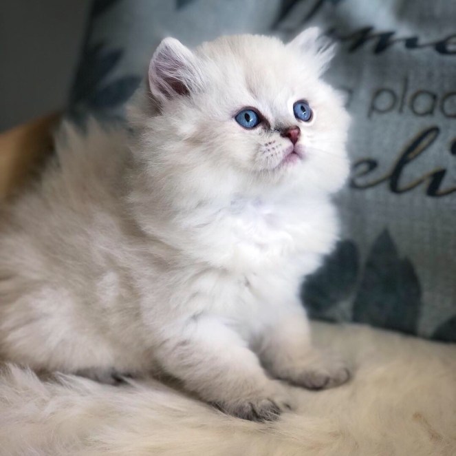 5DA21180-E8B2-45D8-B590-AA559925A93C