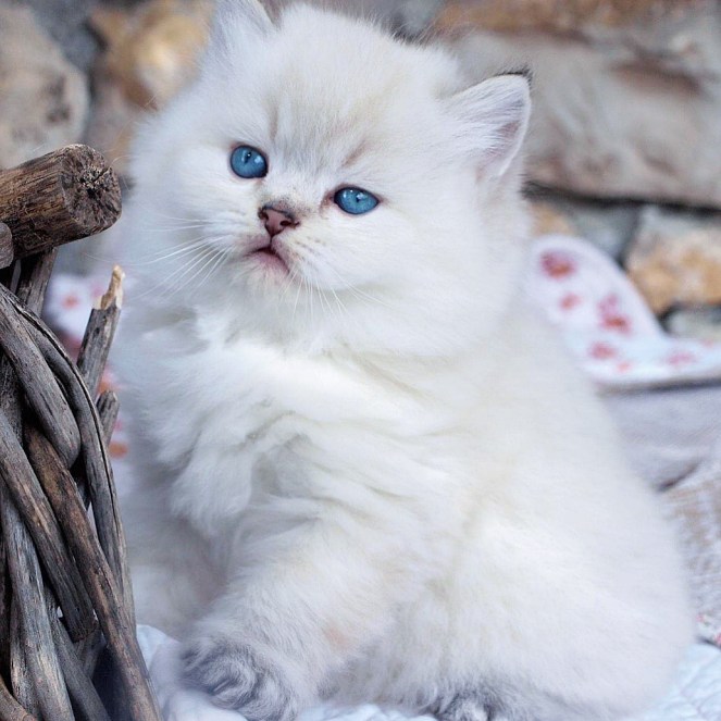 C2388A51-C632-4D66-A610-EEFDF4090E5B