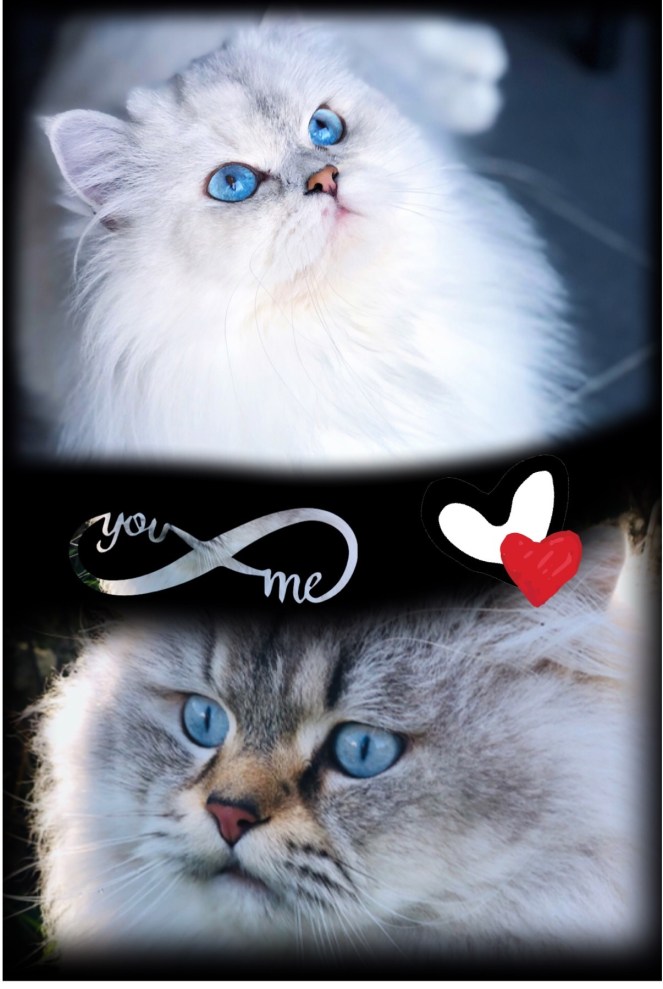 C40669B4-863A-4D8E-8568-64D86E803E48