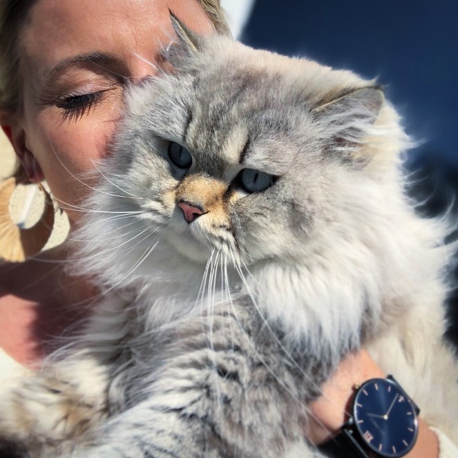 E0DB42D6-59E9-4961-AD22-7C8103878183