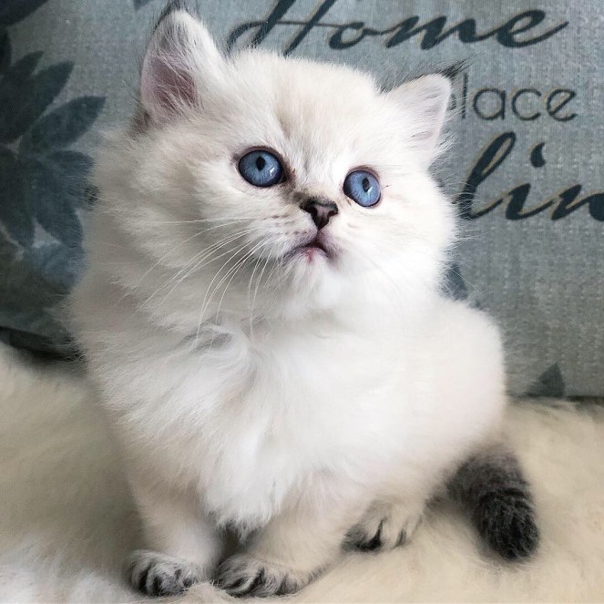 E2290C99-0EC4-4E32-A746-3B1321C813C0