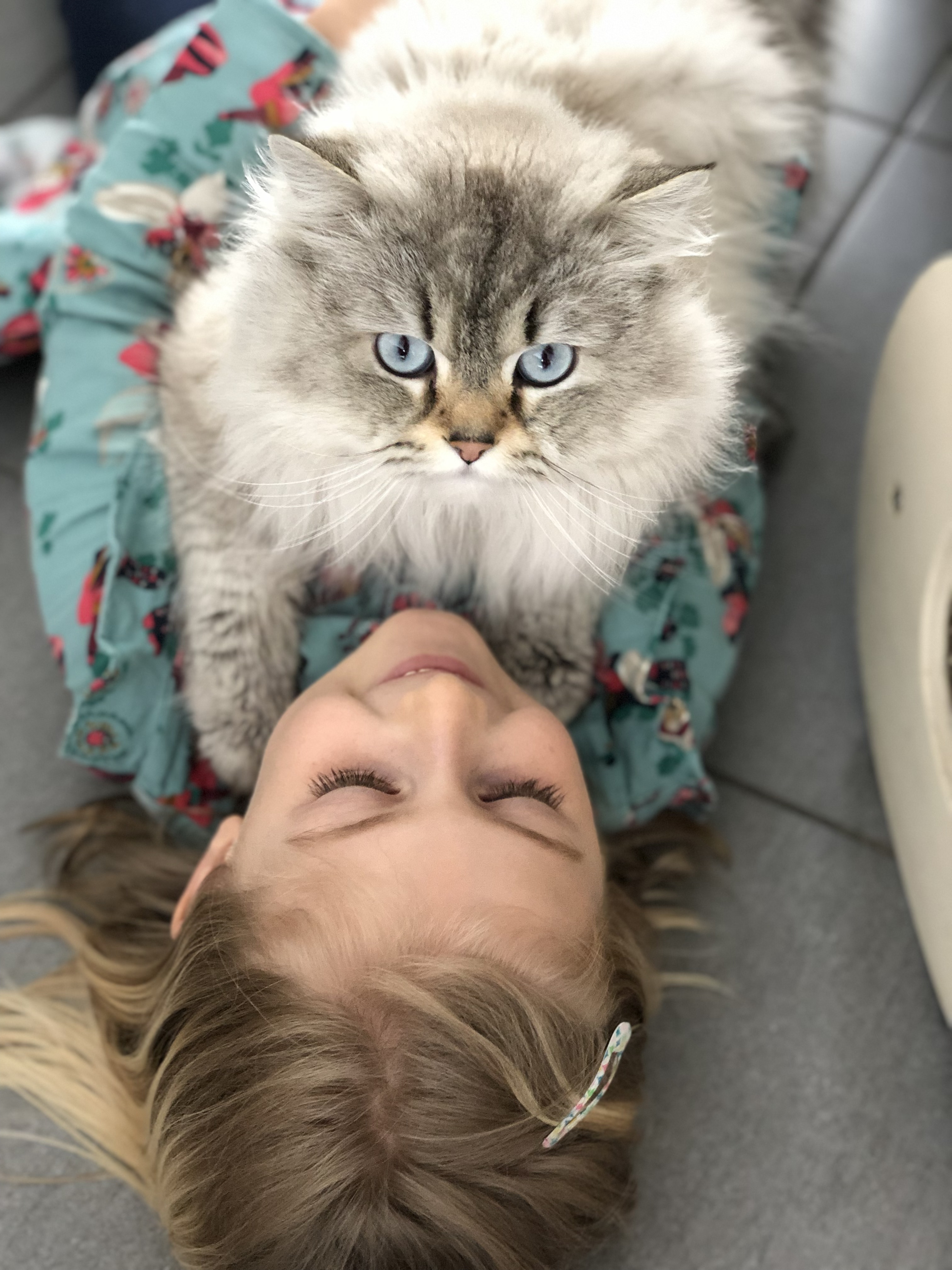 99C11668-CAD8-4BD7-8F35-BB19EEF22B6D